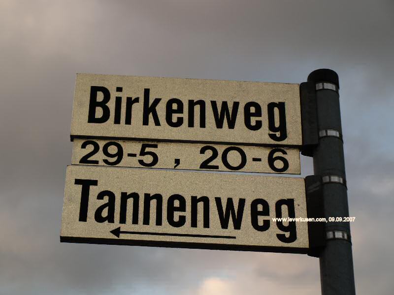 Foto der Birkenweg: Straßenschild Birkenweg
