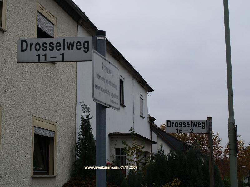 Foto der Drosselweg: Straßenschild Drosselweg