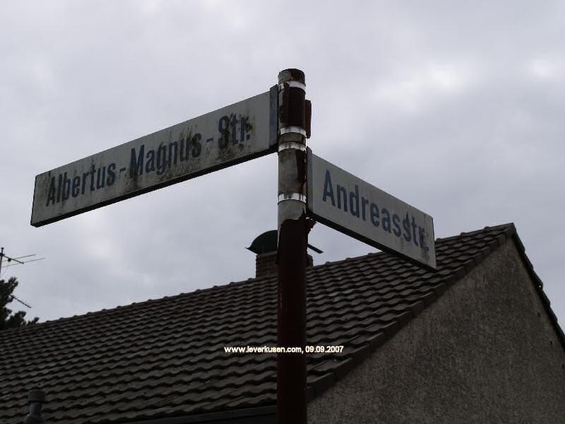 Foto der Albertus-Magnus-Str.: Straßenschild Albertus-Magnus-Str.