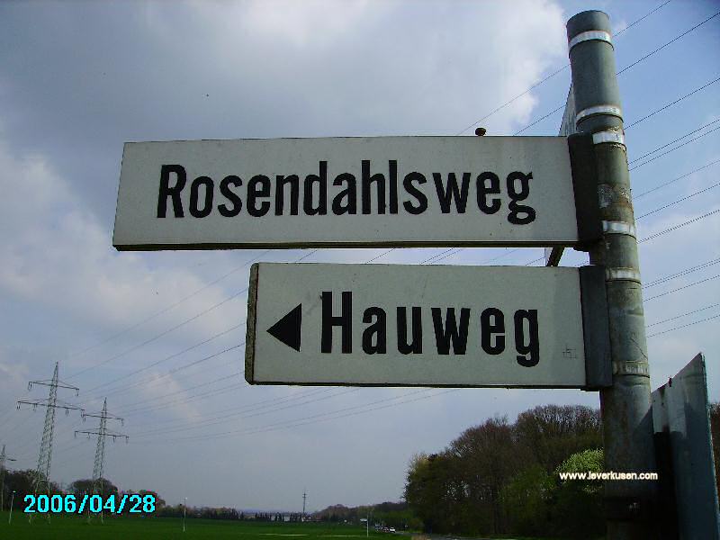 Foto der Rosendahlsweg: Straßenschild Rosendahlsweg