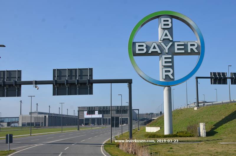 Bayer-Kreuz am Willy-Brandt-Flughafen